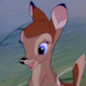 Meet your Posher, Ally